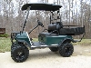 hunting buggy electric motor